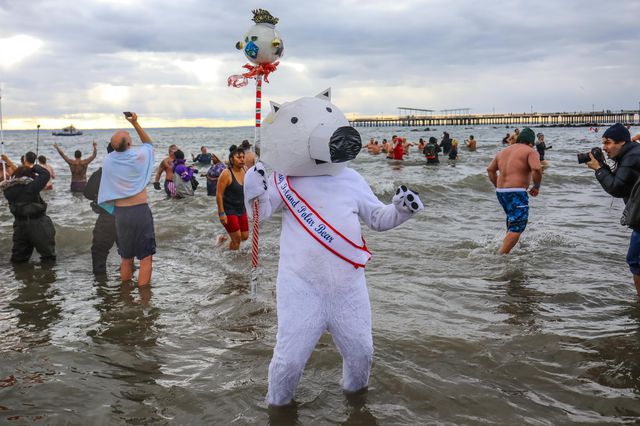 2020 polar bear swim